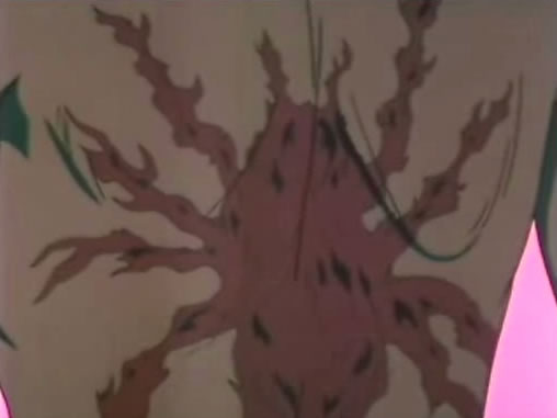 Naraku and all of his spawns have a spider scar...